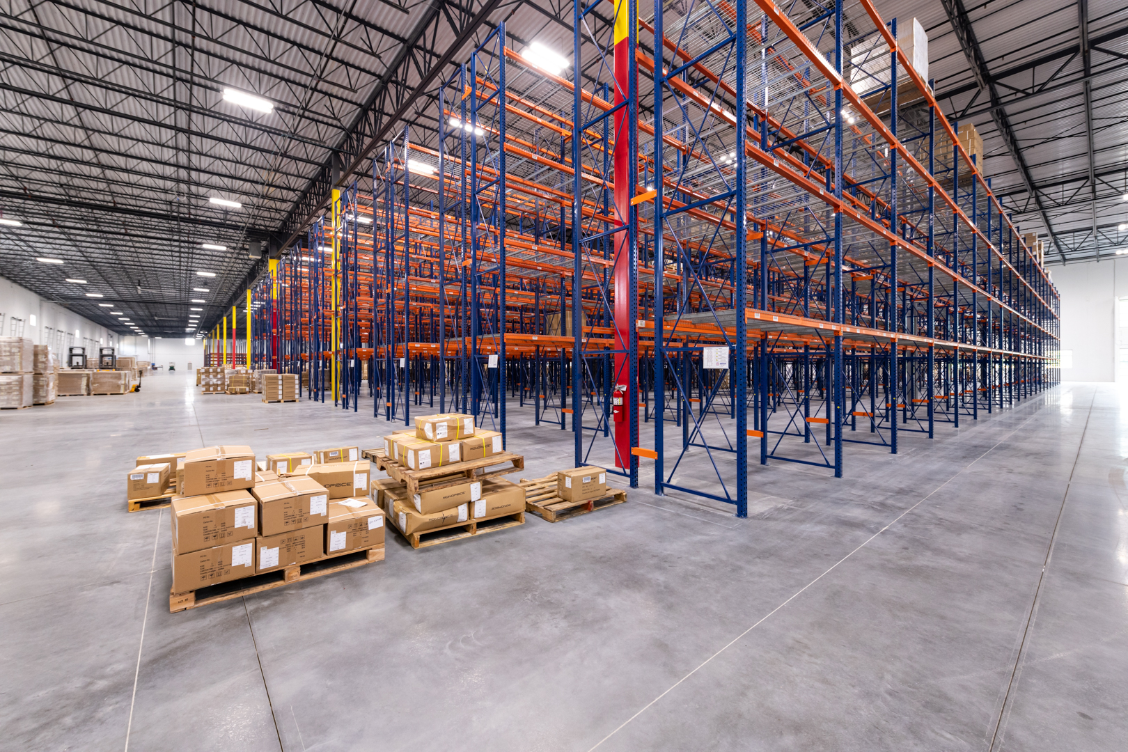 Molto Properties | Litton Lane