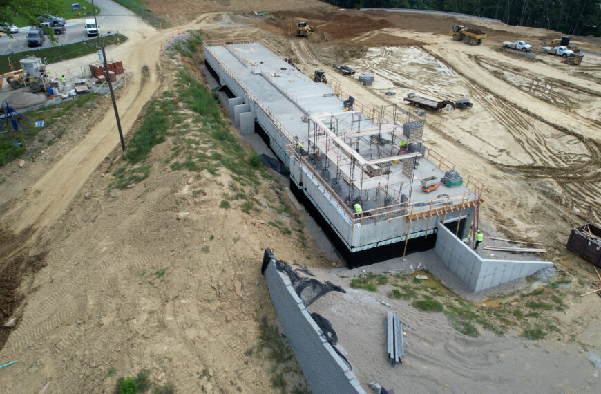 Sequence 01.00_05_17_29.Still017